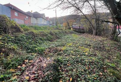 Teren intravilan 1001 mp în Reșița, aproape de centru - 2