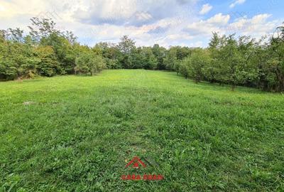 Casă cu Teren 3287 Mp în Câmpina - 6