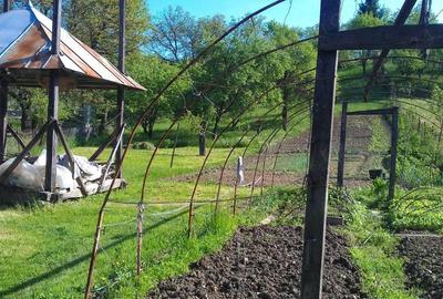 Casă cu 7 camere cu Teren 2694 Mp în Rona de Sus - 1