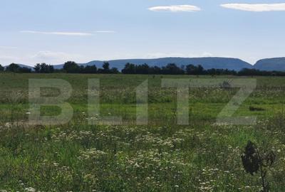 Casa renovabila, 2 camere, zona Cetate - 17