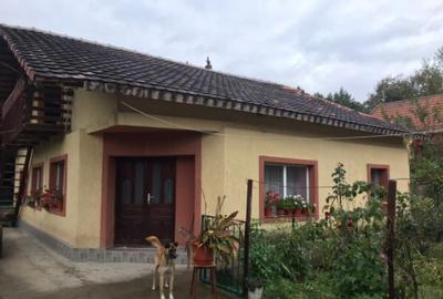 Casă cu 7 camere cu Teren 2500 Mp în Ilovăț - 2