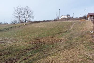 Teren de 1305 mp, în Valea Crișului - 3