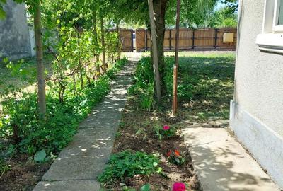 Casa in Dragasani , str Traian , nr 102, Dragasani, Valcea - 7