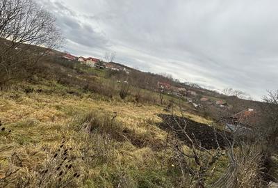 Spațiu comercial, în Corpadea - 4