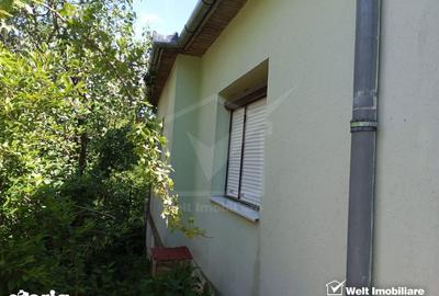 Casă cu 3 camere cu Teren 3320 Mp în Căpușu Mare - 7