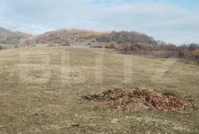 Teren de 3360 mp, în Aninoasa - 1