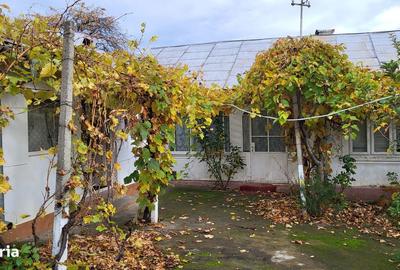 Casă cu 3 camere cu Teren 3200 Mp în Vârteșcoiu - 19