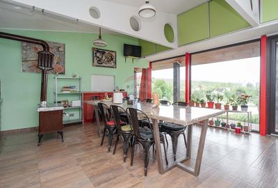 Casa / Vila cu 10 camere, de vanzare. Todireni, Botosani. - 14