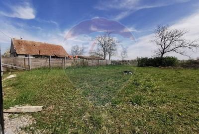 Teren Construcții intravilan de 3775 mp, în Cefa - 6