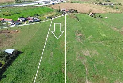 !OFERTA!De vanzare Teren 2700MP/Zona Magnoliei Satu Mare - 4