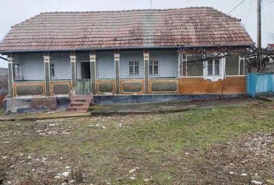 Casă cu 3 camere cu Teren 3629 Mp în Boian - 10