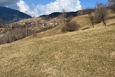 Vanzare Teren cu Punct de Belvedere in Moieciu zona Magura-Pestera - 5