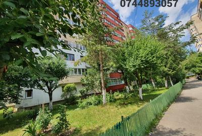 Apartament Paraului 3 camere,  structura decomandata, cu vedere pe 2 parti. - 11