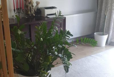 Duplex cu 4 camere cu Canalizare în Odăi - 4