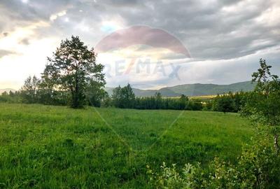 Teren 4,223mp Zarnesti - Tohanita - 10
