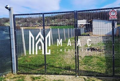Casă cu 2 camere în Racovița - 2
