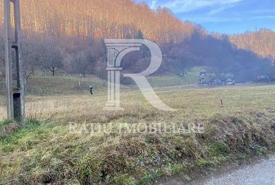 Teren de 1500 mp, în Bulz - 5