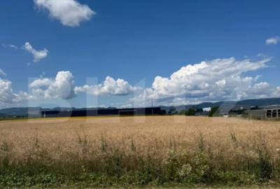 Teren de 20000 mp, în Central - 2