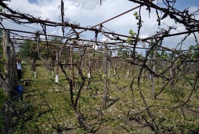 Spațiu comercial, de 1,150 mp, în Lespezi - 4