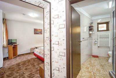 Pensiune Turistica Montana - 26