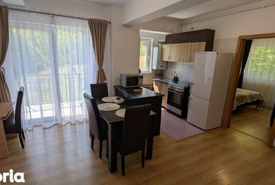 Apartament cu 2 camere, mobilat în Mănăștur - 9