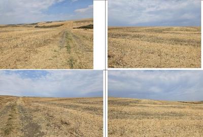 Teren Negureni, cota parte 1/8, ID: R2695094 - 12