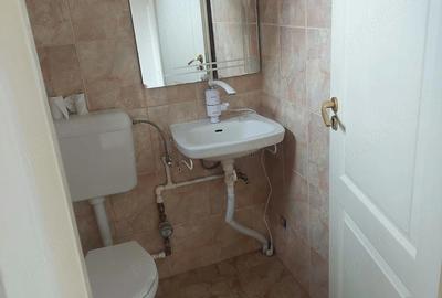 Spațiu comercial, de 32 mp, în Nufărul