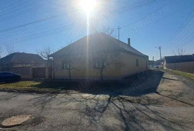 Casa de vanzare Pecica - 4