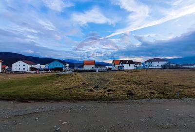 Teren Construcții intravilan de 353 mp, în Nord-Est - 4