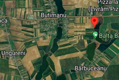 Investitie vanzare 7000 mp teren intravilan Butimanu deschidere directa la lac - 3