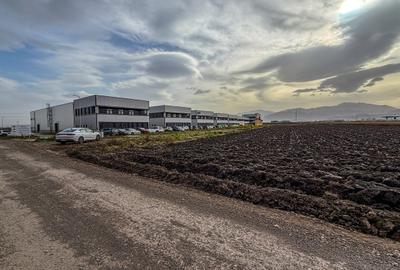 Teren industrial, intravilan, cu utilitati, Stupini, 11.600 mp - 4