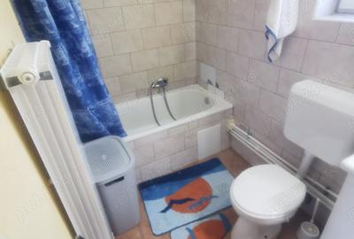 Vand casa Satu Mare str spicului,3 cam placa de beton - 3