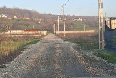 Spațiu comercial, în Proaspeți - 1