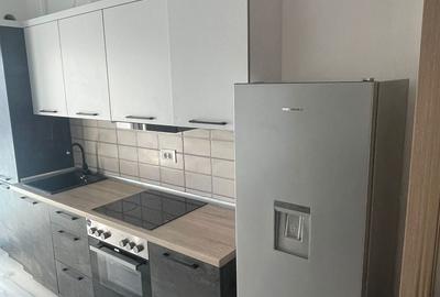 Apartament cu 2 camere decomandat, mobilat în Parcul Carol - 10