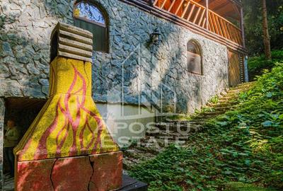 Casă cu 6 camere cu Teren 120 Mp în Râu de Mori - 10