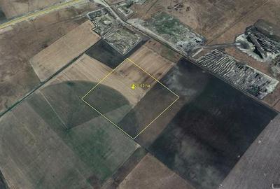 Teren de 200000 mp, în Ulmeni - 2
