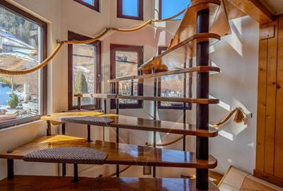 VILA SCANDINAVIA / Pensiune / Moieciu de Sus - 9