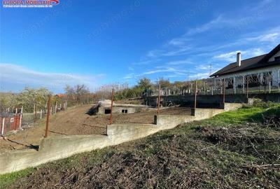 Teren de vanzare zona Bididia Tulcea - 3