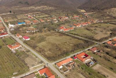 Casă individuală cu 8 camere cu Canalizare în Maciova - 9