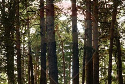 Spațiu comercial, de 510 mp, în Bisoca - 12