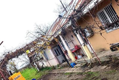 Spațiu comercial, de 7,000 mp, în Furcenii Vechi - 5