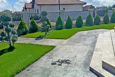 Sacalaz - casa de vanzare - 1