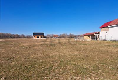 RECO teren intravilan Sabolciu - 1