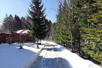 Casa de vacanta sau pensiune situata langa Cabana Trei Brazi Predeal - 43