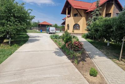 Casă cu 4 camere cu Teren 2252 Mp în Coșula - 7