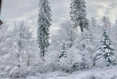 OFERTA in Poiana Brasov, 3 camere de vazare - 1