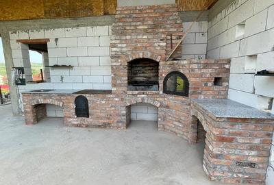 Casă cu 2 camere cu Teren 1800 Mp în Peștișu Mare - 10