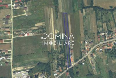 Teren agricol intravilan de 6292 mp, în Preajba Mare - 1