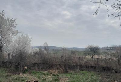 Casă cu 4 camere în Stoinești - 3