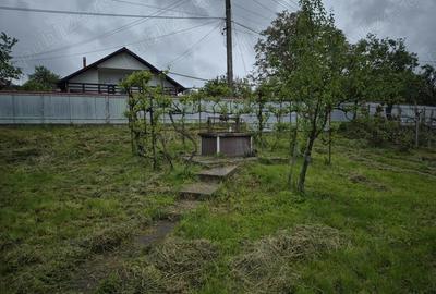 Casa cu anexe ?i padure - 6